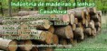 /album/galeria-de-fotos-/madeira-copia-jpg/